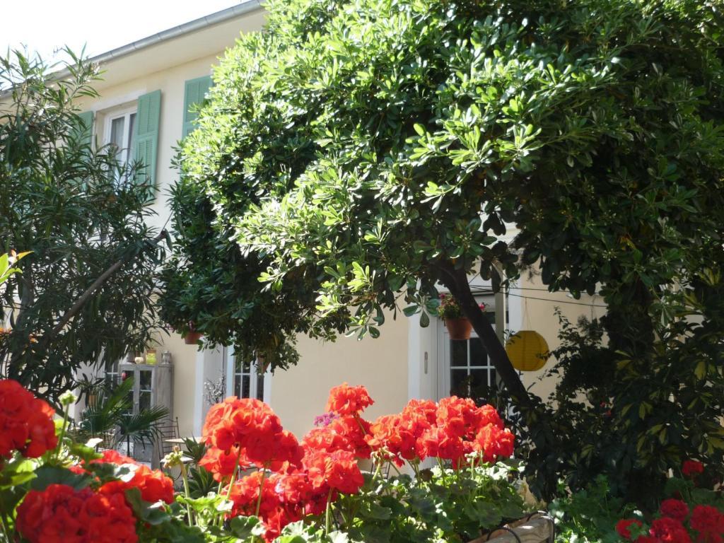 Logis Hôtel Villa Victorine Nice Exterior foto